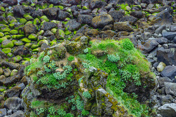 Hike from Arnarstapi to the Stone Bridge in the south of Iceland