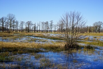 Nature reserve Empese and Tondense Heide in the East of the Netherlands