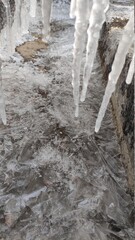 icicled icicle ice winter cold nature
