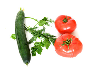 Two Tomatoes with water droplets, cucumber, Dill (Anethum graveolens) and Petroselinum (parsley)