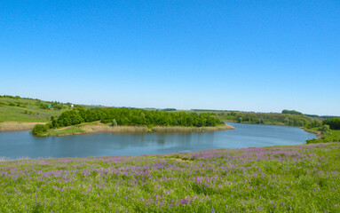 Panorama of the Village Lake with an island in the center. Summer vacation travel fishing