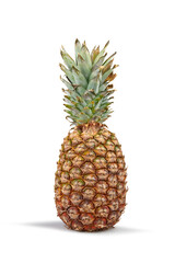 Fototapeta premium Fresh pineapple isolated on white background, vertical composition