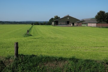 Obraz premium Large dairy barn near Wageningen the Netherlands