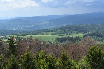 Fototapeta premium Landscape