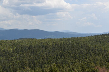 Fototapeta premium Landscape