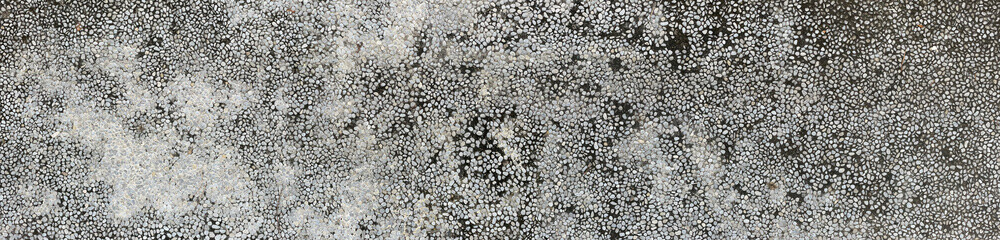 rough wall texture background collection. damaged dirty mossy wall surface in panorama. 3d textured background for interior, decoration, wallpaper, etc.