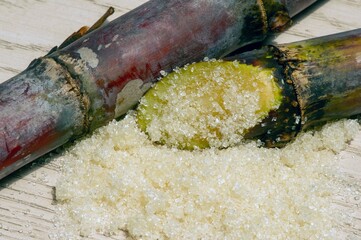 Crystal sugar sticks to the sugar canes
