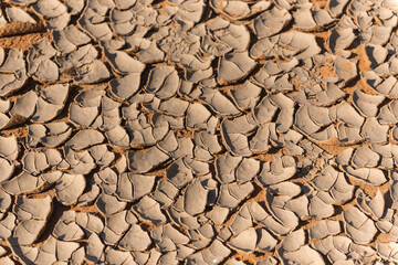 Dried sand. Background.