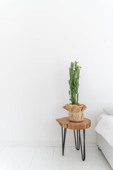 white stylish bedroom interior. Vertical minimalistic composition with cactus standing on wooden table. Empty white copy space. Basic design. rustic or scandinavian style. Clean and fresh apartment 
