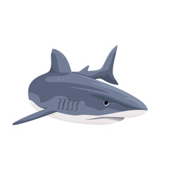 Shark isolated on white background. Vector illustration of aquatic animals.