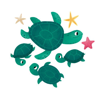Cute Turtle digital illustration for kids. Big sea turtle painting. 