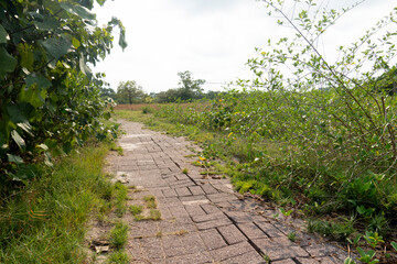 A pedestrian walkway made of bricks intertwined to form a walkway. Surrounded by marshlands and green forests on both sides of the road. At Kodpor Public Park, Rayong ,Thailand.