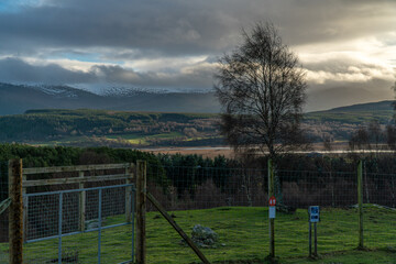 Fototapeta premium Overcast Landscape