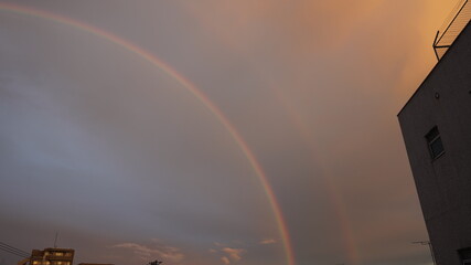 rainbow in the city