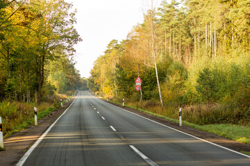 Landstraße führt durch ein Waldgebiet