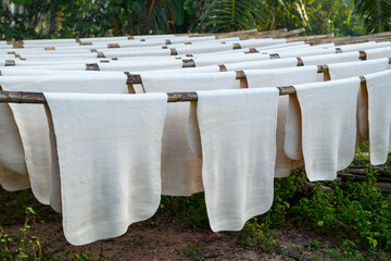 Rubber sheet has been made to rubber sheet to the rubber plant.