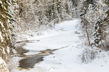 frozen river view in forest with ice and snow