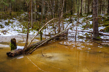 frozen river view in forest with ice and snow