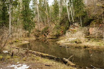 sandstone cliffs on the shore of forest river in Latvia