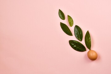 Creative composition. Easter egg with green leaves on a pink background. Easter minimal concept. Copy space, flat lay.