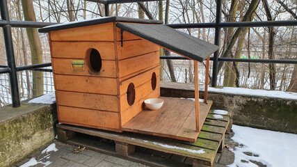 Beautiful wooden kennel for homeless cats, on a wooden pallet.