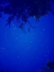 Dark blue sky with full of star