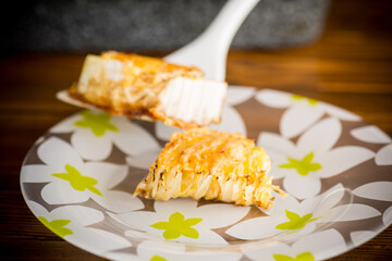 cabbage in batter baked with cheese in the plate