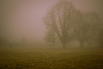 Fototapeta na wymiar The figure of a man near the trees in a mystical fog. The period before dawn.