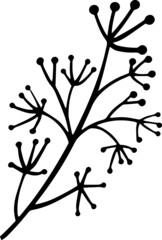 Vector doodle abstract drawing herbs and flowers, minimal floral elements desing