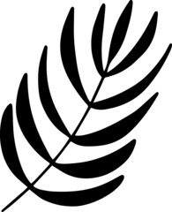 Vector doodle abstract drawing herbs and flowers, minimal floral elements desing