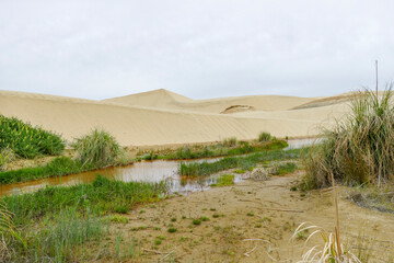 Te Paki Sand Dunes