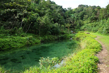 Obraz premium Stream of waterfall in the tropical forest are Flowing through on the mountain of Thailand
