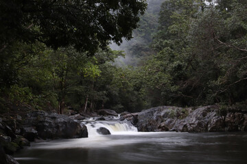 waterfall in the forest