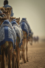 Camels gong through a desert