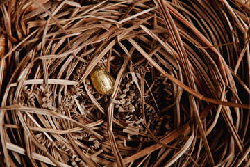 Golden Easter Egg in Nest