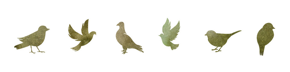 watercolor set of green birds on white background