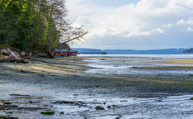 Dash Point Park Shoreline 2