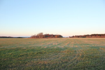 FIELD