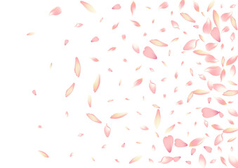 Purple Apple Petal Vector White Background. Pink