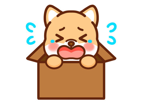 犬の鳴き声 の画像 3 869 件の Stock 写真 ベクターおよびビデオ Adobe Stock