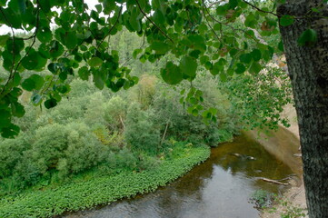 steep river bank in the summer