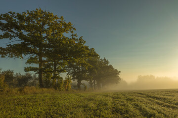Fototapeta na wymiar Autumn fog and the beautiful morning sun in landscape