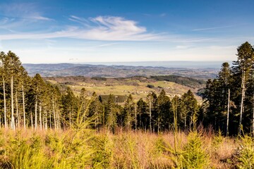 landscape of mountain of forez
