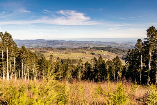 landscape of mountain of forez