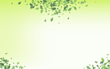 Forest Leaves Spring Vector Green Background