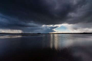 Backwaters of the Narew River