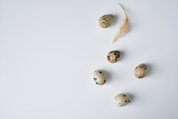 quail eggs with a feather on a white table. Easter concept Copy space