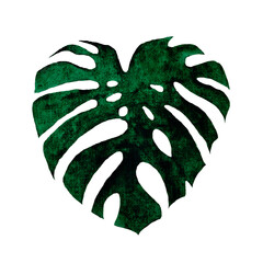 watercolor tropical leaf, isolated on white background