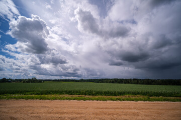 country landscape with green meadow and blue sky above