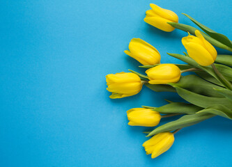 Closeup on yellow tulips in on the blue surface. Location vertical.